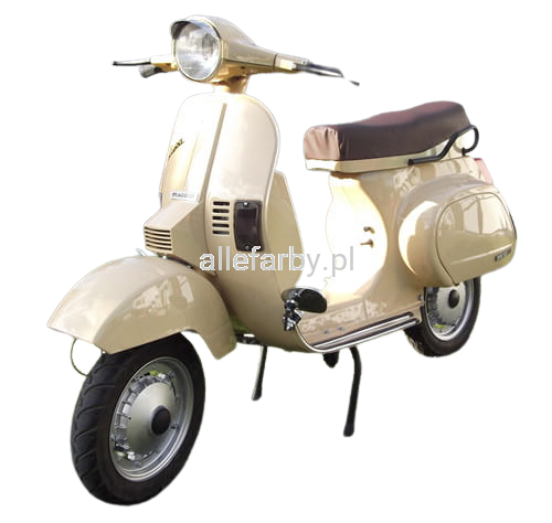 RAL_1001_2-removebg-preview.png
