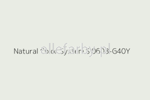 NCS S 0603-G40Y Farba Proszkowa Poliestrowa Gładki Półpołysk P/S2/U/2298/H-334 Minimum 20 kg ( Farba do produkcji )