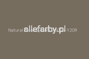 NCS S 6005-Y20R Farba Proszkowa Poliestrowa Kolor Brązowo-Szary Metalik Drobna Struktura P/F4/U/877/8-197 Minimum 1 kg