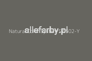 NCS S 6502-Y Farba Proszkowa Epoksydowo - Poliestrowa Kolor Szary Metaliczny Gładki Półmat EP/S3/C/833/8-255 Minimum 20 kg