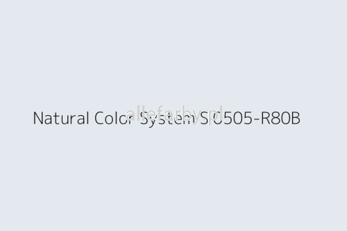 NCS S 0505-R80B.jpg