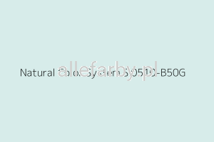 NCS S 0510-B50G Farba Proszkowa Poliestrowa Gładki Mat P/S4/U/P6047/8-436 Minimum 20 kg ( Farba do produkcji )