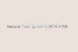 NCS S 0804-Y70R Farba Proszkowa Poliestrowa Gładki Połysk P/S1/U/NCS0804/8-377 Minimum 20 kg ( Farba do produkcji )