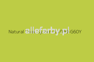 NCS S 1060-G60Y Farba Proszkowa Epoksydowo - Poliestrowa Półmat EP/S3/U/2088/8-454 Minimum 20 kg