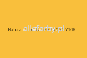 NCS S 1060-Y10R Farba Proszkowa Epoksydowo - Poliestrowa Kolor Żółty Gładki Półpołysk EP/S2/U/2765/8-576 Minimum 20 kg ( Farba do produkcji )