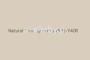 NCS S 1505-Y40R Farba Proszkowa Epoksydowo - Poliestrowa Gładki Mat EP/S4/U/1187/8-428 Minimum 20 kg (Farba do produkcji)