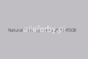 NCS S 2002-R50B Farba Proszkowa Poliestrowa Gruba Struktura P/T2/U/3119/8-397 Minimum 20 kg  ( Farba do produkcji )