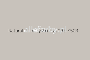 NCS S 2002-Y50R (+/- 7035 ) RAL Farba Proszkowa Epoksydowo - Poliestrowa Gładki Mat EP/S4/U/1574/H-106 Minimum 20 kg  (Farba do produkcji )