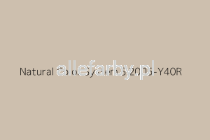 NCS S 2005-Y40R Farba Proszkowa Poliestrowa Drobna Struktura Mat P/F4/U/P7867/H-233 Minimum 20 kg (Farba do produkcji )