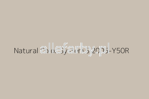 NCS S 2005-Y50R Farba Proszkowa Epoksydowo - Poliestrowa Gładki Mat EP/S4/U/1573/8-379 Minimum 20 kg ( Farba do produkcji )