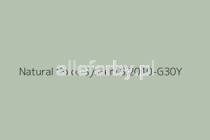 NCS S 2010-G30Y Farba Proszkowa Epoksydowo - Poliestrowa Gładki Mat EP/S4/U/P8070/H-259 Minimum 20 kg ( Farba  do produkcji )