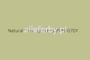 NCS S 2020-G70Y Farba Proszkowa Poliestrowa Gładki Połysk P/S1/U/1929/8-455 Minimum 20 kg (Farba do produkcji )
