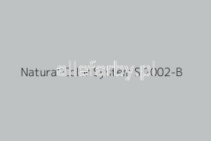 NCS S 2002-B Farba Proszkowa Epoksydowo -Poliestrowa Drobna Struktura Mat EP/F4/U/P8248/H-283 Minimum 20 kg (Farba do produkcji ) 
