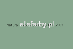 NCS S 3020-G10Y Farba Proszkowa Poliestrowa Gładki Półpołysk P/S2/U/3687/H-510 Minimum 20 kg ( Farba do produkcji )