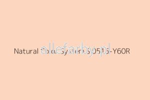 NCS S 0515-Y60R Farba Proszkowa Epoksydowo - Poliestrowa Gładki Półpołysk EP/S2/U/3640/H-511 Minimum 20 kg ( Farba do produkcji )