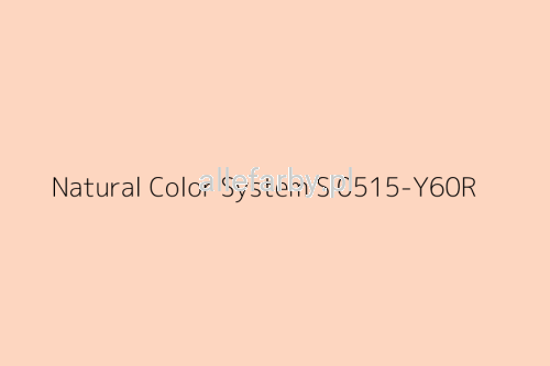 NCS S 0515-Y60R.jpg