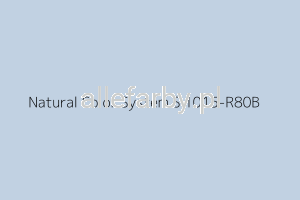 NCS S 1015-R80B Farba Proszkowa Poliestrowa Gładki Połysk P/S1/U/3685/H-513 Minimum 20 kg ( Farba do produkcji )
