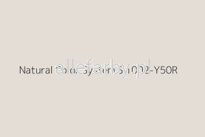 NCS S 1002-Y50R Farba Proszkowa Epoksydowo - Poliestrowa Gładki Mat EP/S4/U/1379/H-219 Minimum 1 KG
