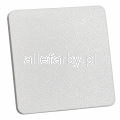 RAL 9003 METALIK 1.png