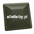 RAL 6022 MAT.png
