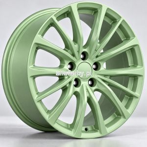 RAL 6019 Farba Poliestrowa Kolor Seledynowy Gładki Mat P/S3/U/6019/B-312