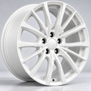 RAL 9003 Farba Proszkowa Poliestrowa Kolor Biały Gładki Mat P/S3/U/9003/2-100