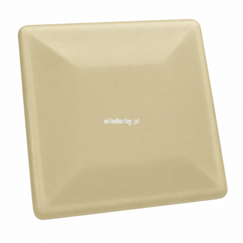 RAL 1001 MAT.png