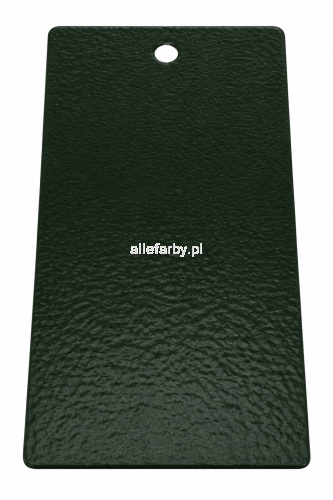 RAL 6009 GRUBA STRUKTURA.png