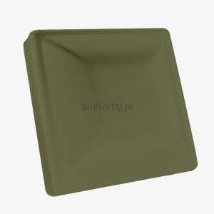 RAL 6013 Farba Proszkowa Poliestrowa Kolor Zielony Trzcinowy Gładki Mat P/S4/U/6013/B-463