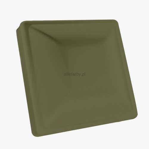 RAL 6013 MAT.jpg