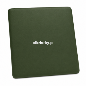 RAL 6009 Farba Proszkowa Poliestrowa Kolor Zielony Jodłowy Gładki Mat P/S3/U/6009/B-439