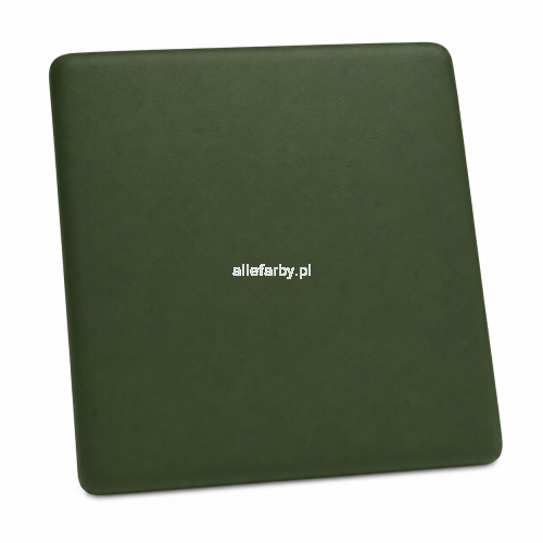 RAL 6009 MAT.png