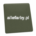 RAL 6006 MAT.png