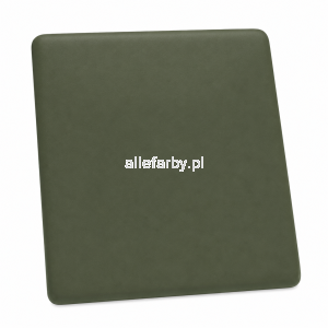 RAL 6006 Farba Proszkowa Poliestrowa Kolor Szary Oliwkowy Gładki Mat P/S3/U/6006/B-438