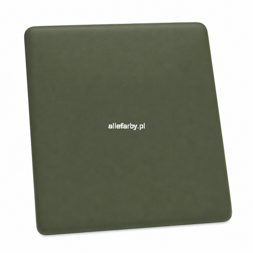 RAL 6006 MAT.png