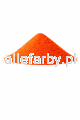 RAL 2009.png