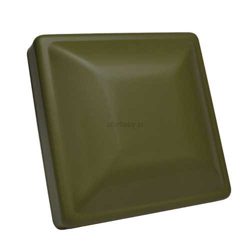 RAL 6003 MAT.jpg