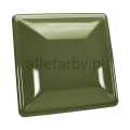RAL 6003 1.jpg