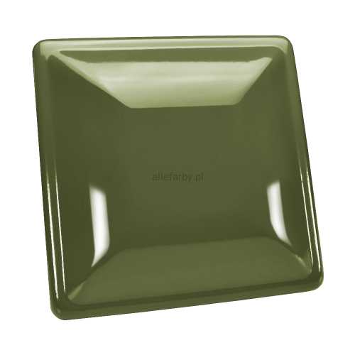 RAL 6003 1.jpg