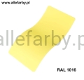 RAL 1016.jpg