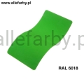RAL 6018.jpg